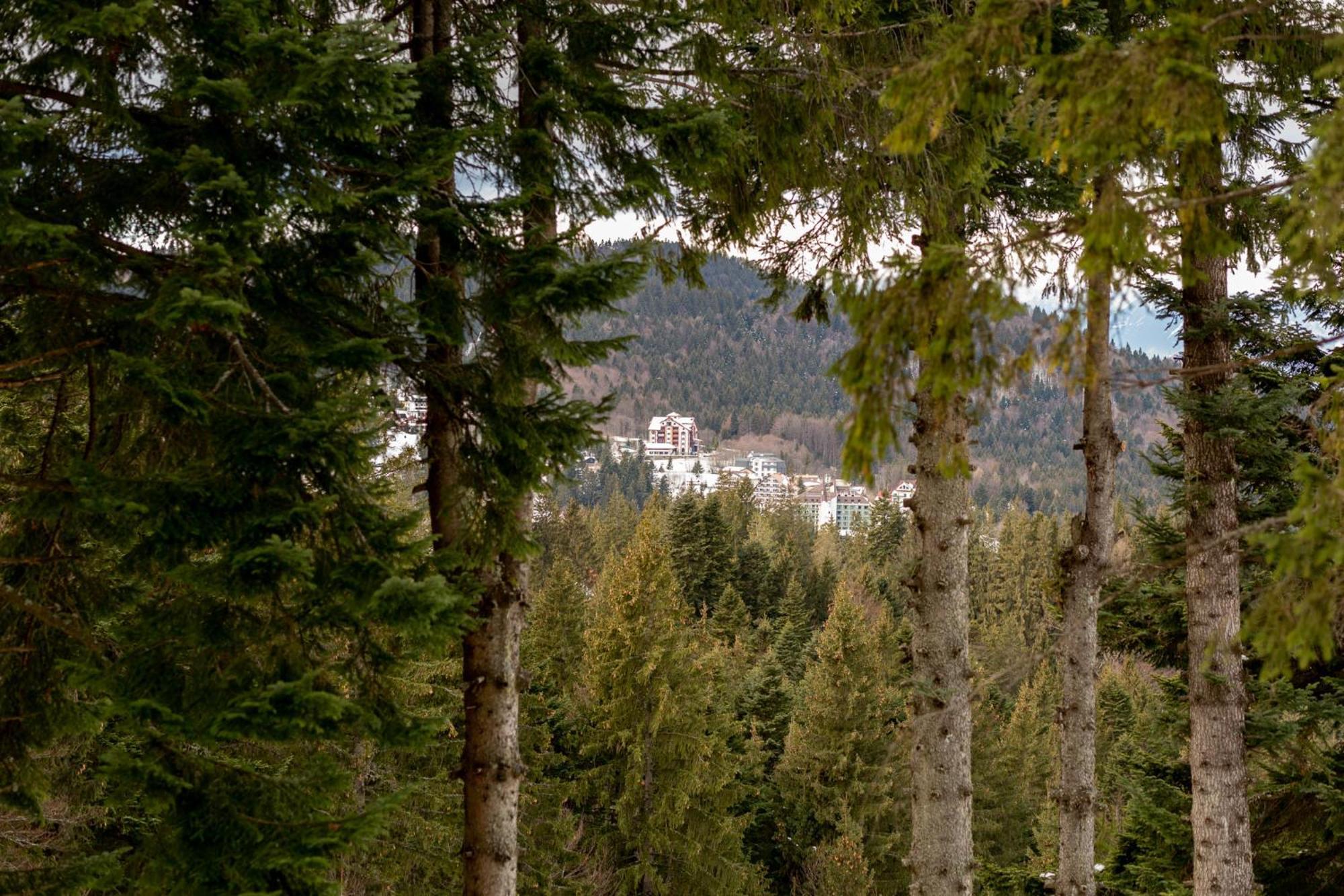 Eden Grand Resort Predeal Extérieur photo